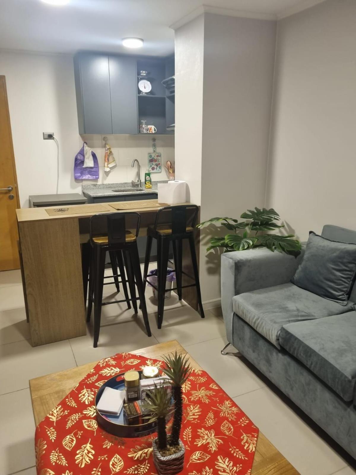 Departamento En Santiago *